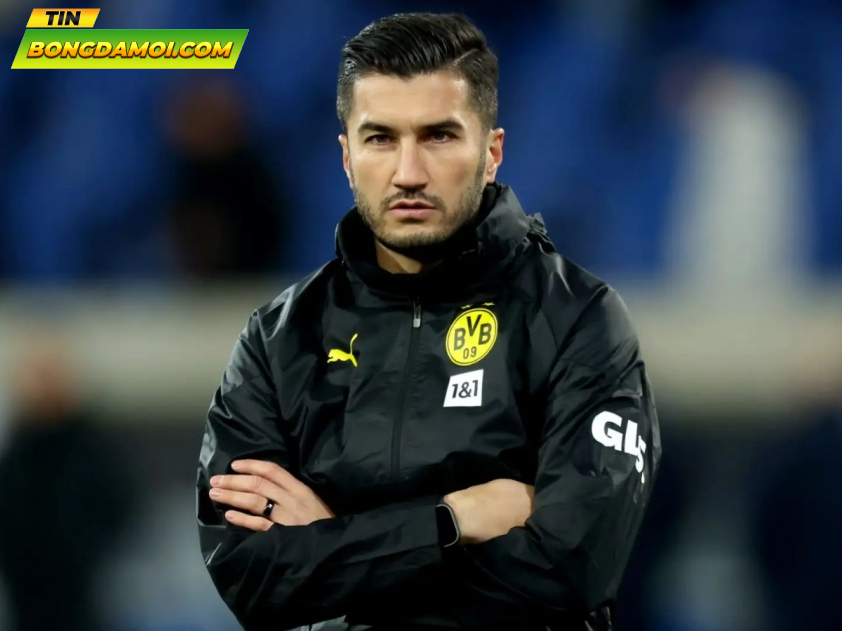 Nhận định Bologna vs Dortmund: Cơ hội cuối cùng?, 03h00 ngày 22/1/2025