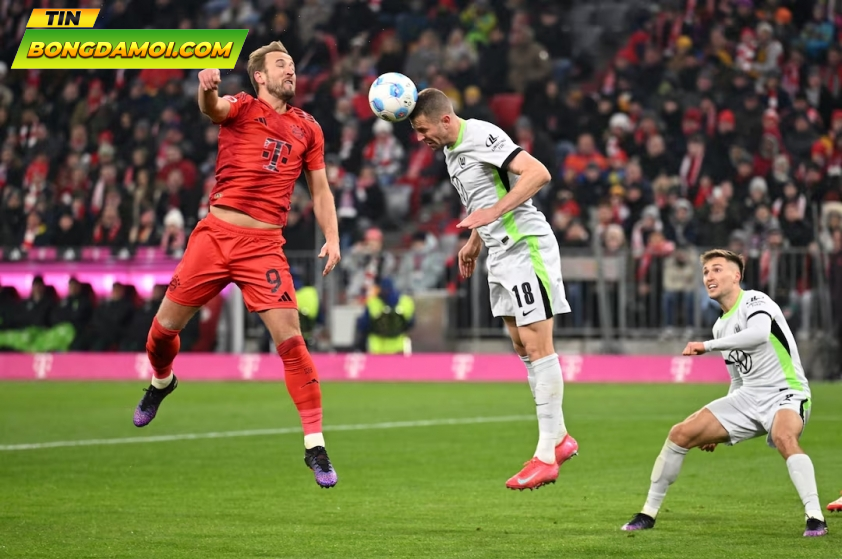 Phân Tích Trận Đấu Wolfsburg và Holstein Kiel: Cơ Hội Cho Đội Khách Lật Ngược Tình Thế? Lúc 2h30 Ngày 25/01/2025